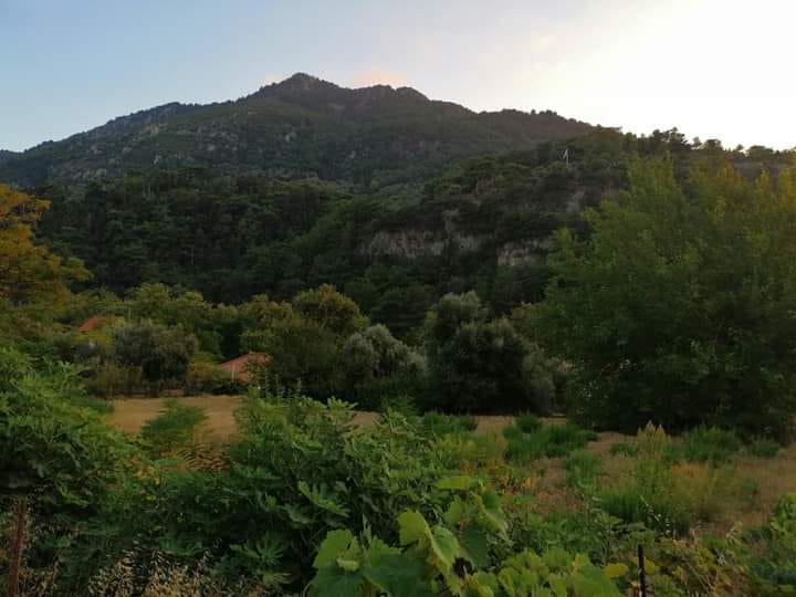 "Το φθινοπωρινό φώς" (της Άννας Ασημίνα)